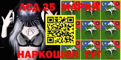 крисы Гай
