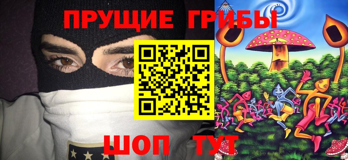 Галлюциногенные грибы Cubensis Балаково