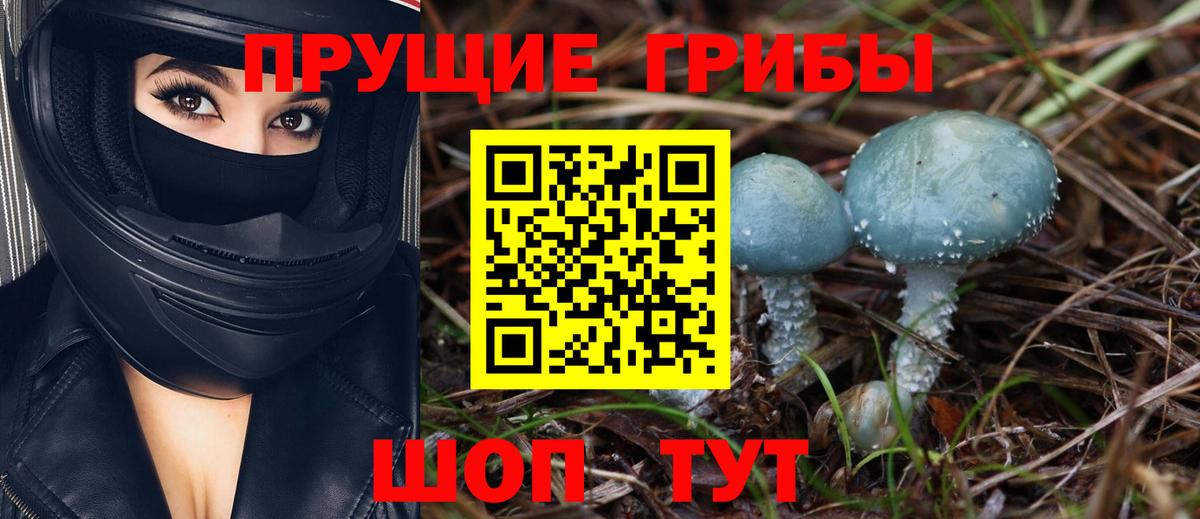 Балаково  Псилоцибиновые грибы GOLDEN TEACHER  как найти закладки  Псилоцибиновые грибы ЛСД  Вход с VPN 